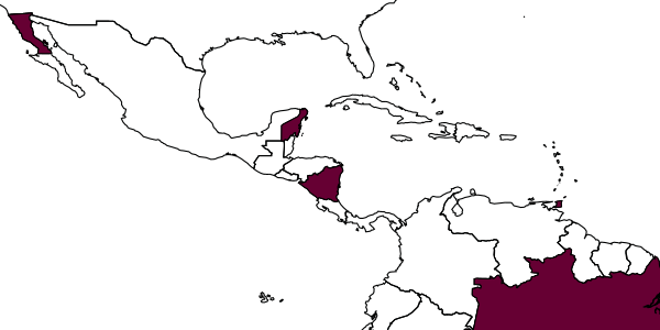 map of Anisepyris fingolfini     Barbosa & Azevedo, 2018